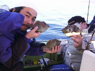 �ǂ��ł����H