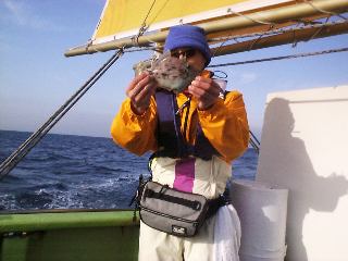 �Q�Q����