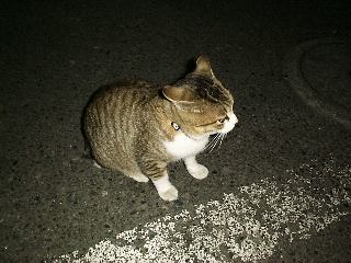 �R���r�j�l�R�����