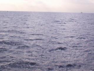 �o�܂����I