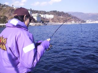 �t�@�C�g��