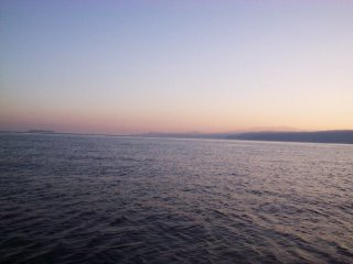 ���͌���