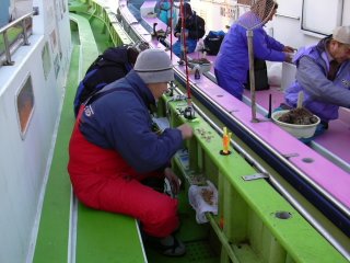 �A�T��������