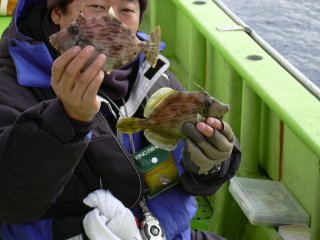 �{���J���n�M