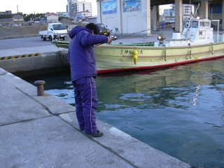 タックルチェック