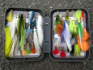 �g���\��ł������t���C