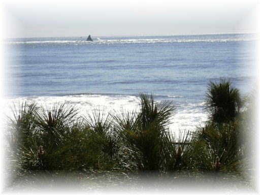 �G�{�V��Ə���