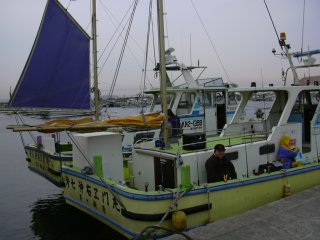 �掵���E�G���