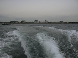 �T�U���r�[�`��