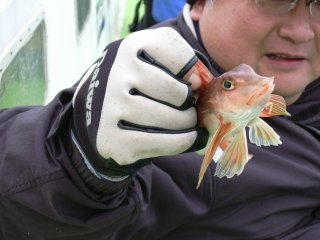 �J�i�K�V��