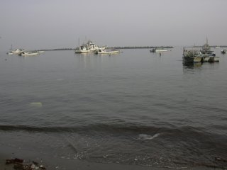 �܂��Ȃ��o�D