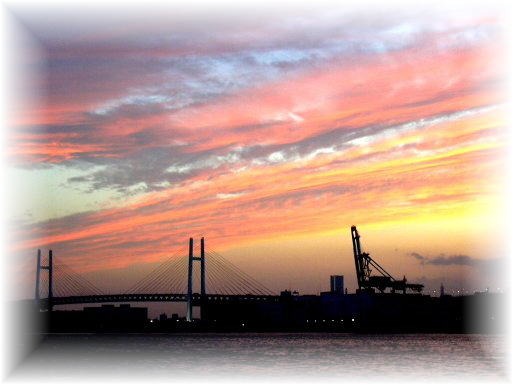 �[�z�ɐ��܂�单�u��