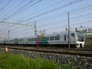 �Ó�V�h���C�i�[