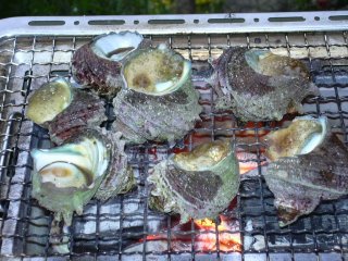 �T�U�G�ُ̒�