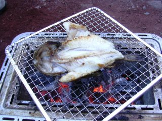 ���͂�͂花�����������H