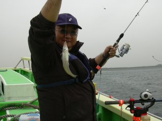 ���炽����