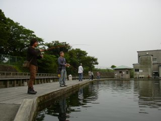 �ǒނ�--�`�c��