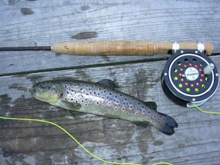 �t���C�ł��I