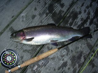 �t���C�͓��H��