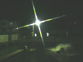 �i�C�^�[�Ɩ�