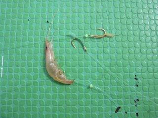 �E�B���[�j