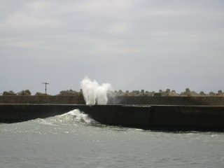 �͌��̕���