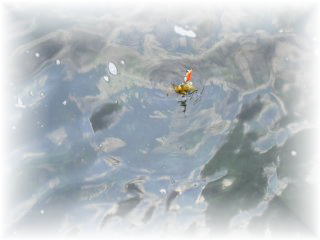 �A�I���C�J