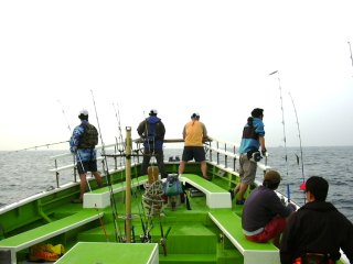 �~���V�͍L���ł�