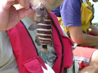 �������Ă������͔��Q�ł����B