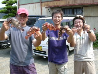 �މʂ���Ȃ��񂶂Ⴀ��܂����I�I