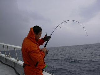 �V�C���Ɗi����