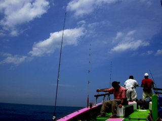 ���������