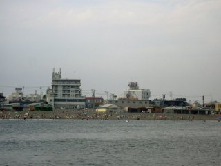 �T�U���r�[�`