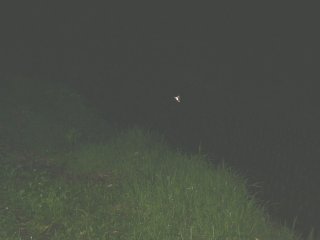 ���ł�w�C�P�{�^��