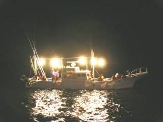 ���D�̗l�q