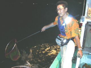 ��������ċd���܂�