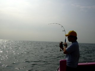 �h���O���o�܂��B