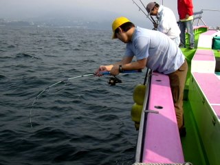 ���Ƃ������