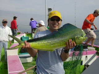 �V�C����