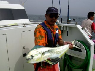 �V�C����