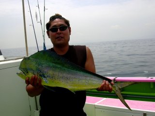 �V�C����