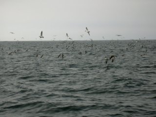 �g�����}