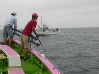 �J�c�I�����`