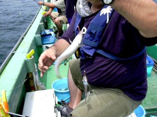 ���炽�����L���b�`