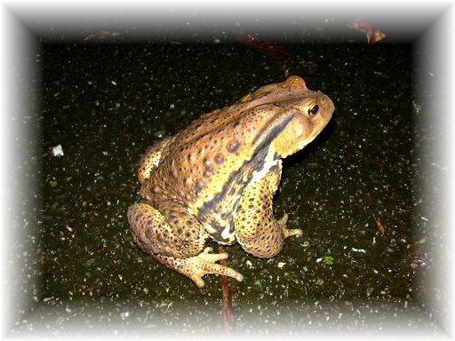 �q�L�K�G��