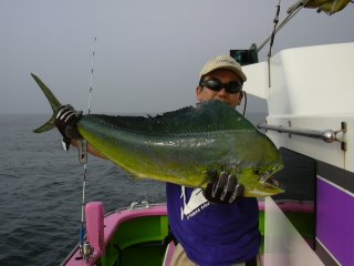 �V�C����