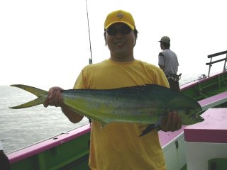 �V�C����