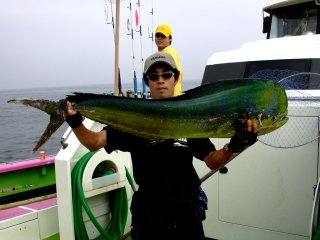 ���b�h�y�b�p�[�}�O�i�����ۓۂ݂�