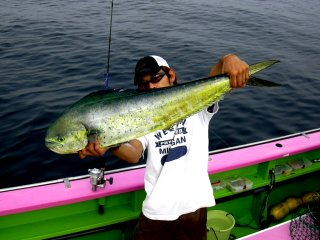 �V�C����