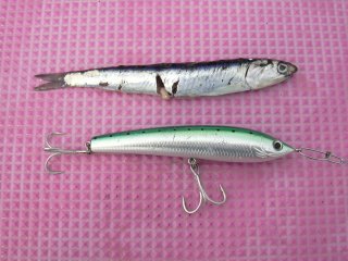 ���Ă܂����H�H